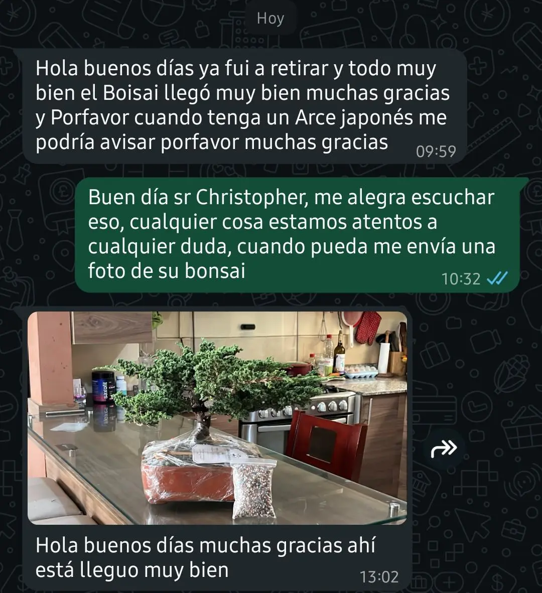 Testimonio de cliente con bonsái